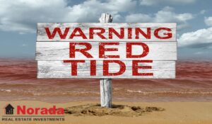 Red Tide Florida Beaches